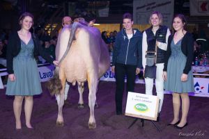Schneuter 2. und  3. Lakt. Phil ESTELL Wallimann Martin Alpnach